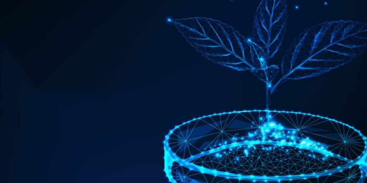 Conference Plant Biotechnology: Beyond