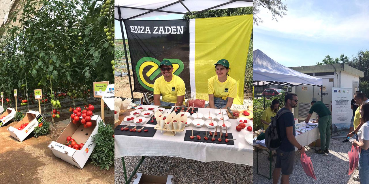 New CPSBB’s tomato varieties were presented during the Summer Open Field Days of Opora Zaden Bulgaria